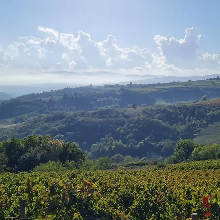 Nyaraló De St Clair Ville-sur-Jarnioux